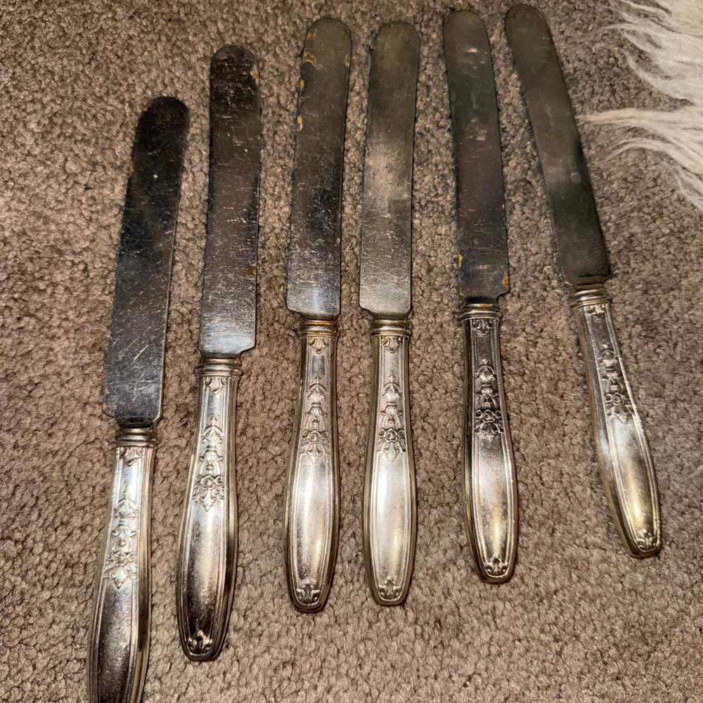 Vintage‎ 1847 Roger's Bros Ambassador Pattern Knives 6